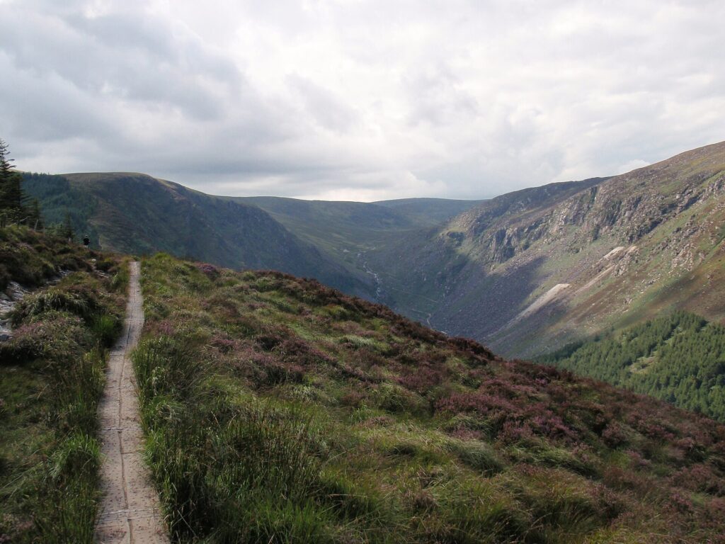 Mountain valley with stone path winding through heather moorland under cloudy sky