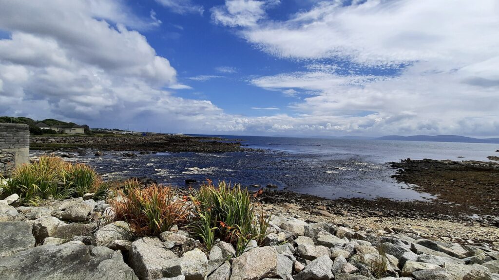 Rocky coastal shoreline with ornamental grasses and stone structure under blue sky