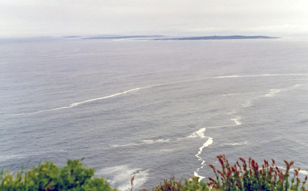 Coastal cliff-top view with winding white foam trails in blue-grey sea