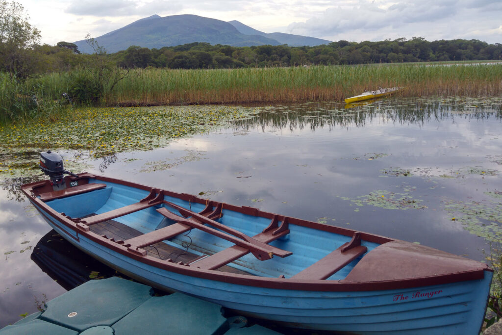 Blue and red fishing boat moored in calm wetland waters with reeds and distant mountain