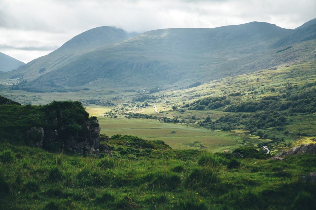Cashel Blue and Durrus: A Guide to Irish Cheese Country