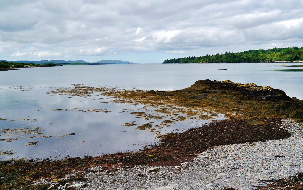 Rocky coastline with exposed seaweed-covered rocks, calm bay waters, forested headland and mountains in distance