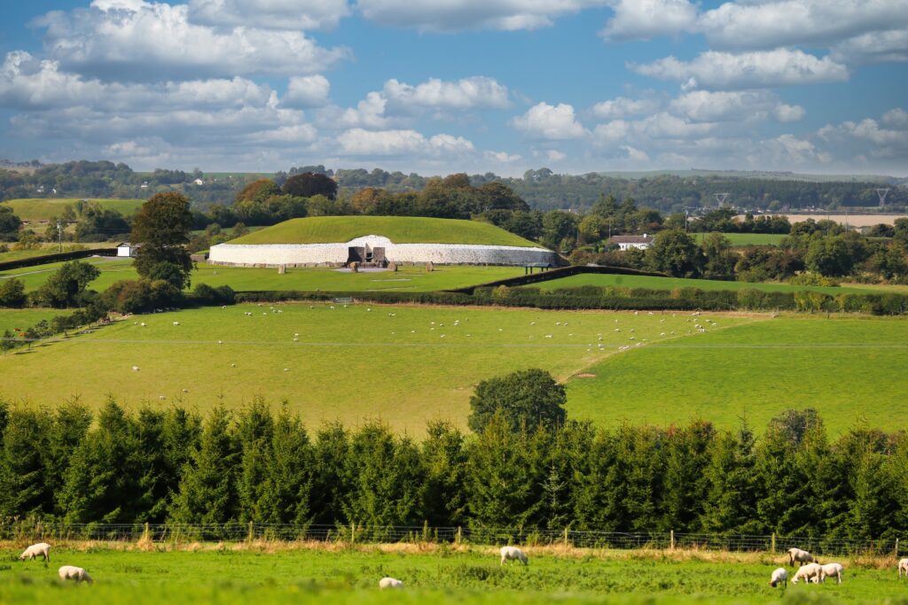 Rolling green fields with grazing sheep and modern agricultural building under blue sky