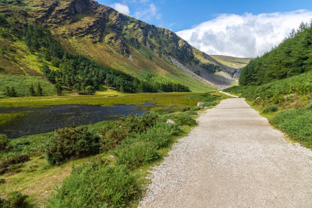Gravel path alongside stream with coniferous forest and moss-covered mountain