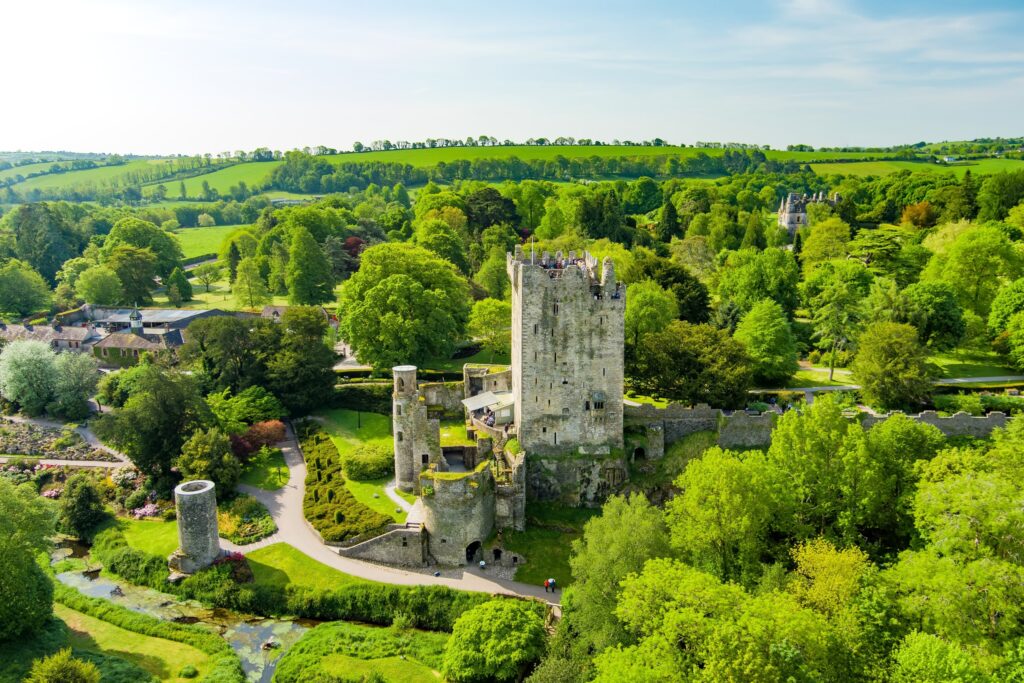 Medieval stone castle tower surrounded by lush green trees and countryside landscape